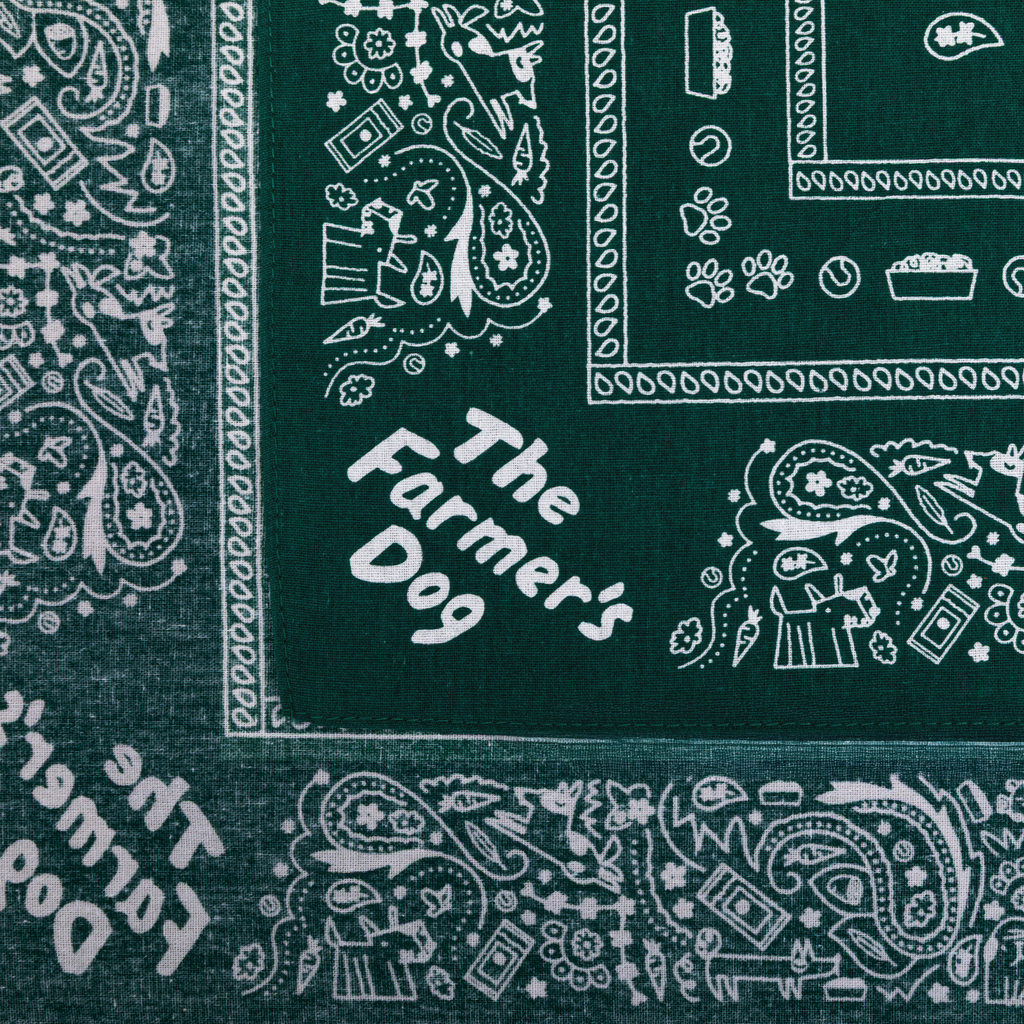 The Dog Person Bandana