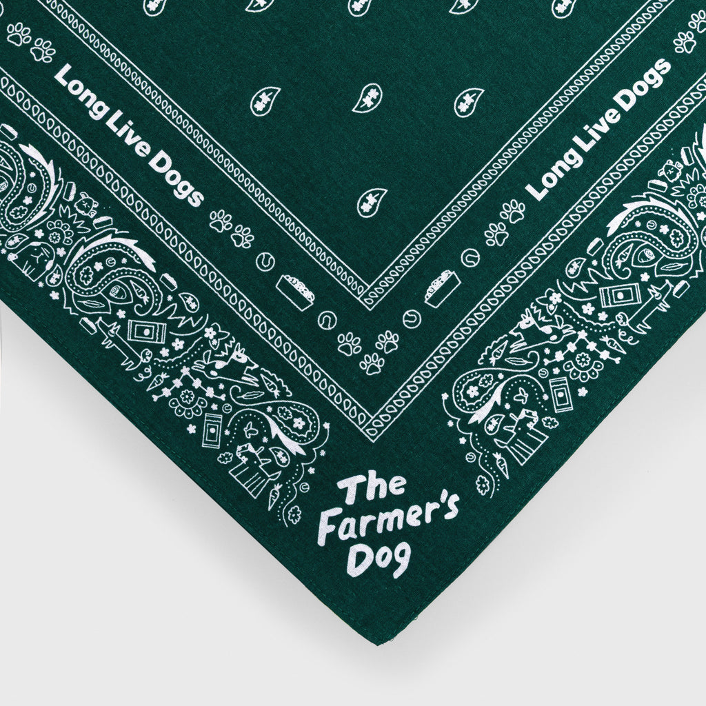 The Dog Person Bandana