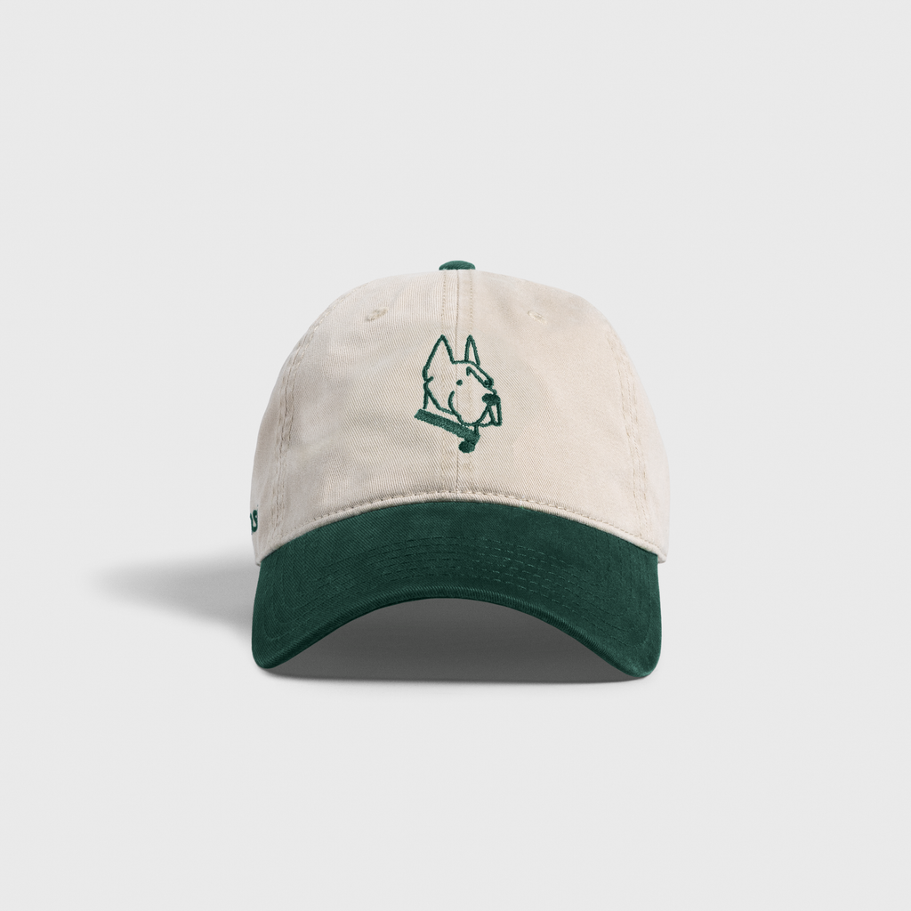 The Pointy Two-Tone Hat