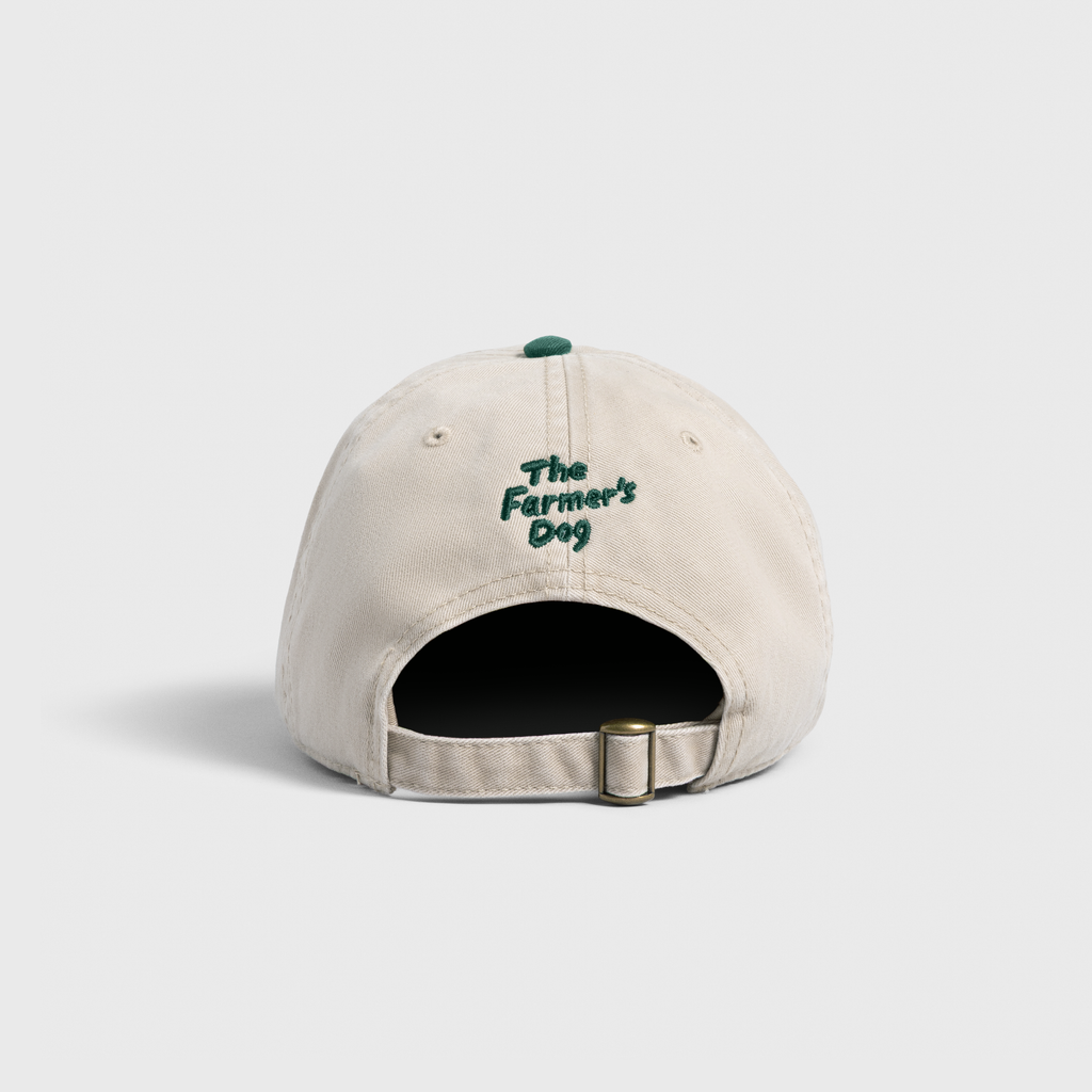 The Scruffy Two-Tone Hat